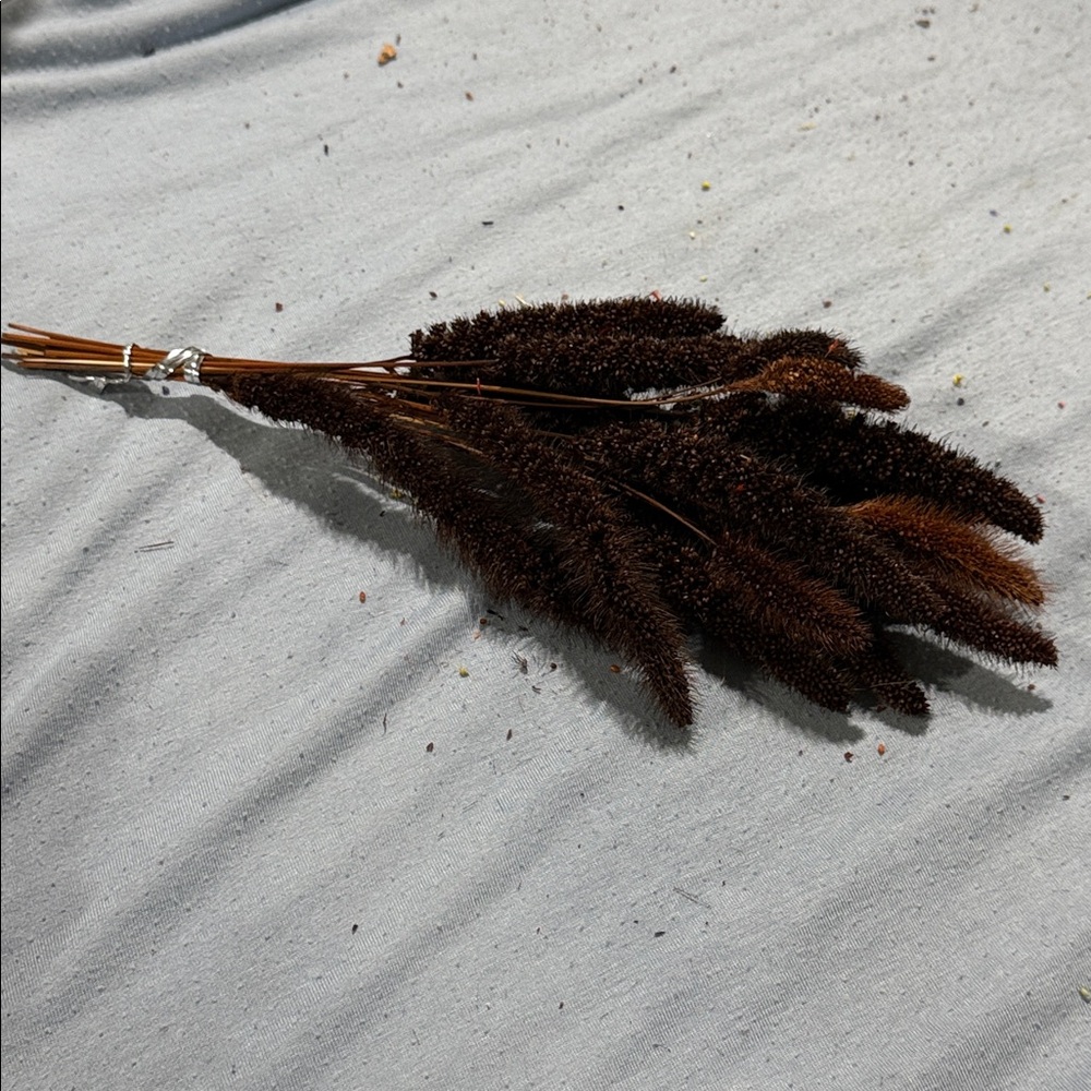 Dried Brown Foxtail Grass Bundle - Rustic Home Décor - Picture 3 of 3